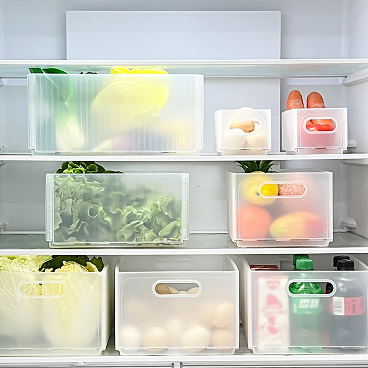 WORTHBUY Plastic Folding Fridg - Kitchen Baking Tins recension och pris